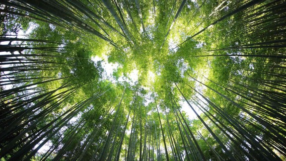 什么是抖音业务货源站?qq空间说说赞的网址是什么?如何免费推广dy免费刷粉网站?